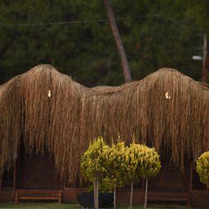 Bungalow Sea View