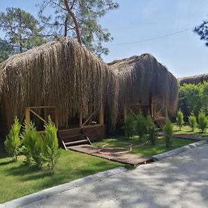 Bungalow Water Front
