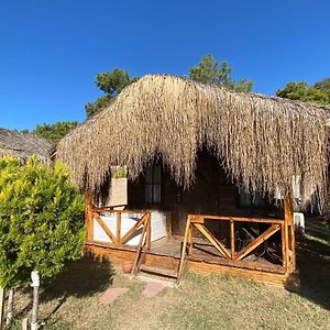 Bungalow Garden View